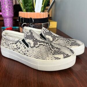 Steve Madden | snakeskin sneaker - 8